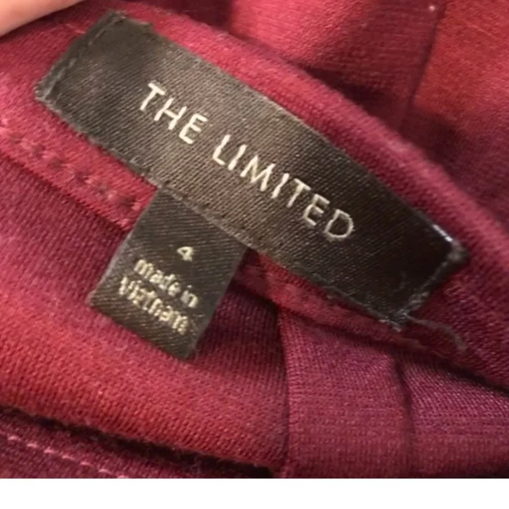 The Limited Burgundy Flounce Skirt